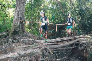 BIB: 
                            <button type="button" onclick="openModal(27744850)" class="btn btn-primary btn-sm float-right btn-popup" data-toggle="modal" data-target=".modal-high-quality">
                        <i class="fas fa-shopping-cart"></i> Add to Cart
                    </button>
                                            <button type="button" onclick="isThisMe(27744850, true)" class="btn btn-success btn-sm float-right btn-popup btn-isme hidden" data-toggle="tooltip" data-placement="bottom" title="นี่คือรูปของคุณใช่ไหม คลิกที่นี่เพื่อเอาเข้าอัลบั้ม">
                        <i class="fas fa-plus"></i> Add to album
                    </button>
                    <button type="button" onclick="isThisMe(27744850, false)" class="btn btn-warning btn-sm float-right btn-popup btn-isnotme hidden">
                        <i class="fas fa-ban"></i> Remove from album
                    </button>